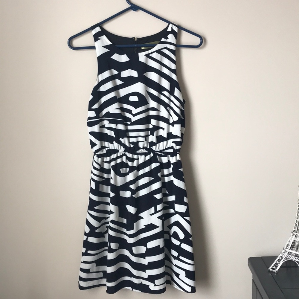 Francesca’s Navy and White Dress